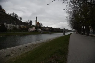 DSC_6991 (Large).JPG